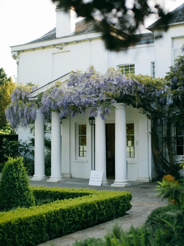 10 Fragrant Front Door Plants